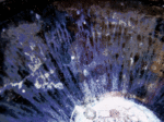 youhennogime3.gif
