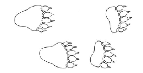 クマの足跡の絵 陶芸材料の熱勝 まるこげブログ